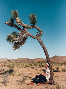 man sitting on log thumbnail