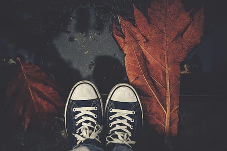 person wearing black and white sneakers thumbnail