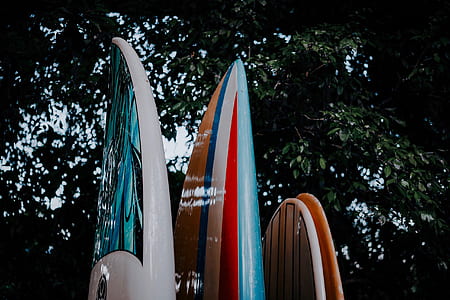 three assorted surfboards thumbnail