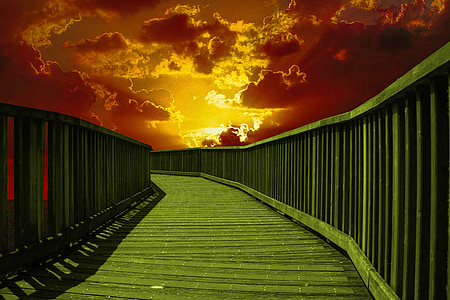 brown wooden dock at golden hour thumbnail