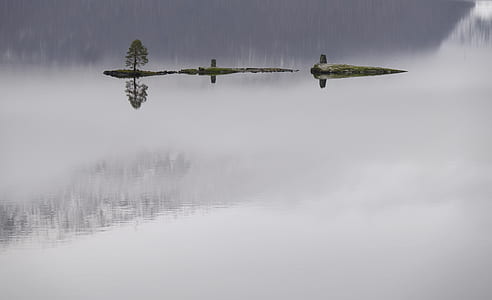photo of green island surrounded by body of water thumbnail