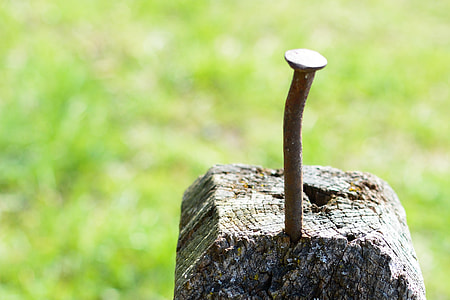 brown nail on wood thumbnail