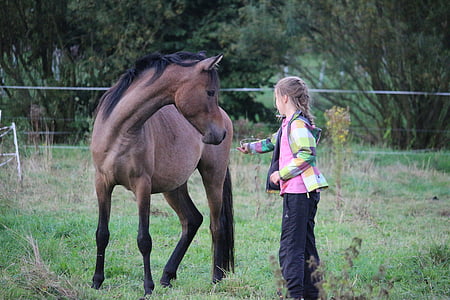 girl playing with brown horse during daytime thumbnail