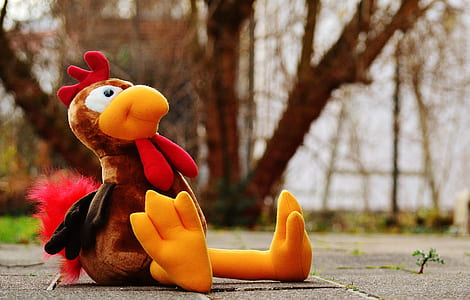 brown and orange chicken plush toy on concrete floor thumbnail