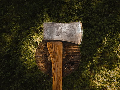 wood, landscape, nature, dark thumbnail