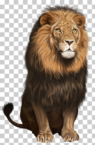 Lion Cat , Lion Transparent , brown lion illustration PNG clipart