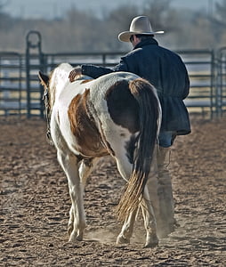 man wearing black jacket and white cowboy hat holding white and brown horse thumbnail