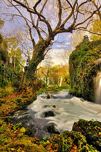 illustration of river surrounded by plants thumbnail