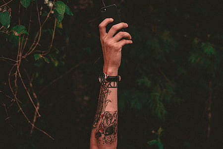 man holding iPhone near green leaf plant thumbnail