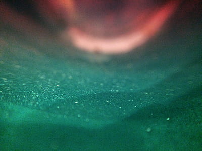 closeup photo of green surface thumbnail