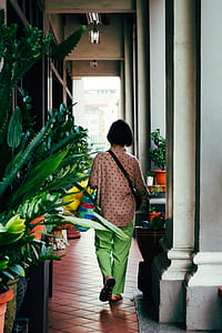 woman walking beside green plants inside building thumbnail