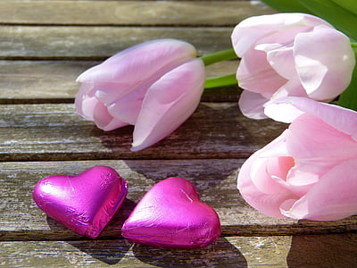 pink tulip flowers and pink heart candies thumbnail