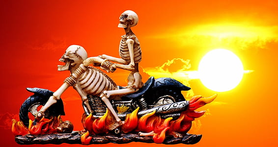 skull riding motorcycle thumbnail