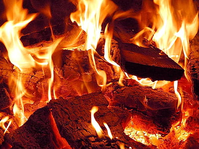 wood is on fire thumbnail
