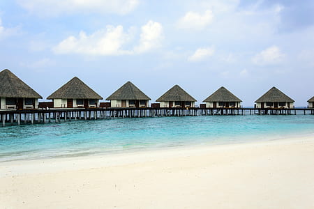 several huts standing over water near shoreline thumbnail