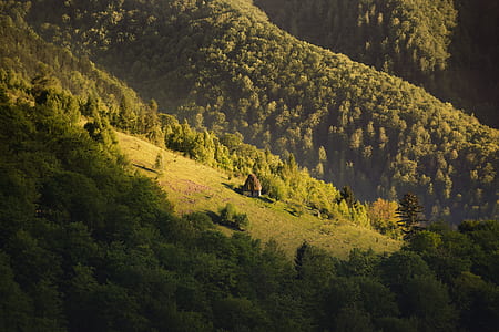 mountain with trees thumbnail