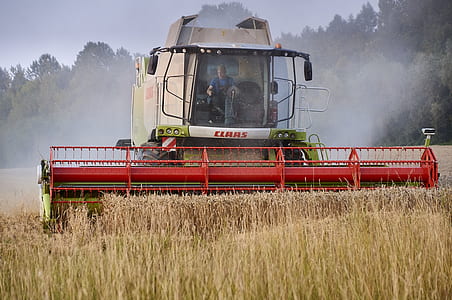 man driving white and red combination harvester thumbnail