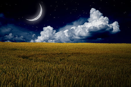 brown field with clouds and crescent moon thumbnail