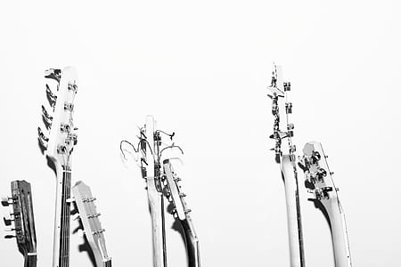 grayscale photo of guitar headstocks thumbnail