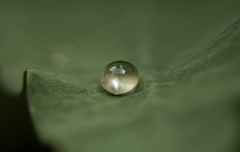 micro photograph of water sprout on leaf thumbnail