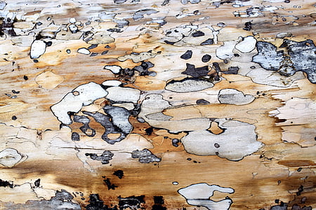 brown and gray wood surface thumbnail