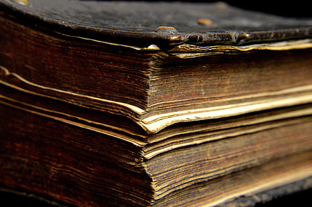 brown book thumbnail