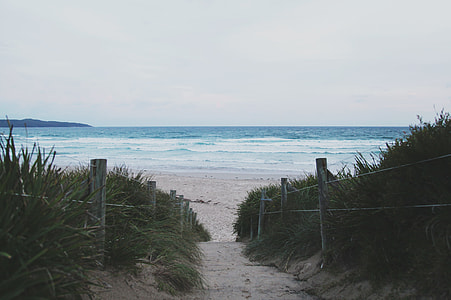 seashore during daytime thumbnail