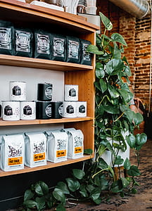 green plant beside white and black cans on brown wooden shelf thumbnail