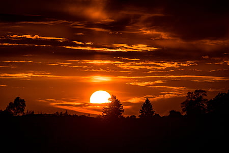 silhouette of pine trees with sunset background thumbnail