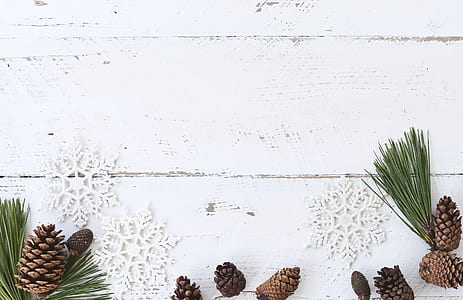 White Wooden Panel thumbnail
