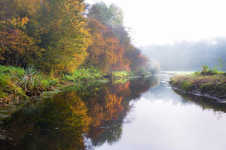 body of water near trees thumbnail
