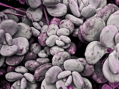 purple-and-gray stone lot thumbnail
