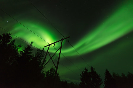 silhouette of power line under green lights at night time thumbnail