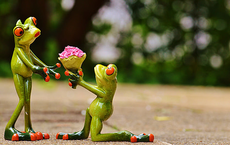 closeup photo of two green frogs holding pink flower bouquet figurine thumbnail