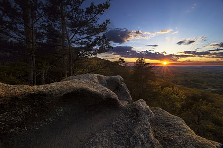 gray rock near the tree during golden hour thumbnail