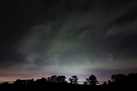tree underneath Northern lights thumbnail