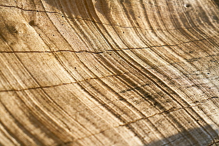 abstract, brown, tree, timber, pattern, texture thumbnail