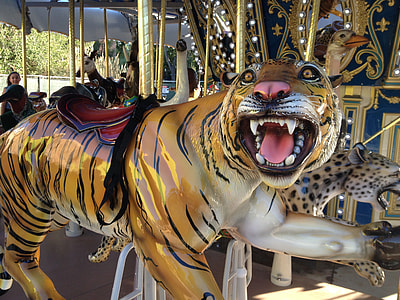 tiger carousel thumbnail