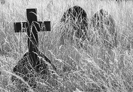 grayscale grave and grass field thumbnail