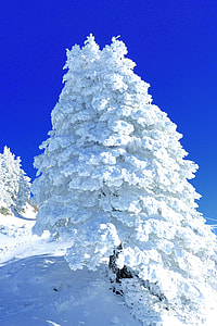 Snow Sculpture, Rigi thumbnail