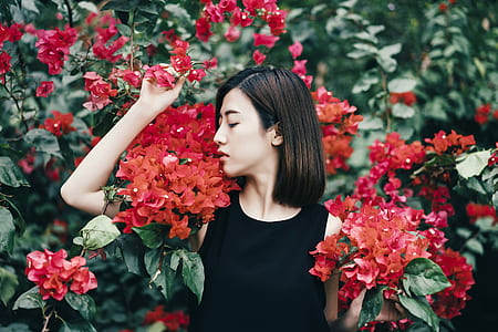 woman standing near red bougainvillea flower during daytime thumbnail