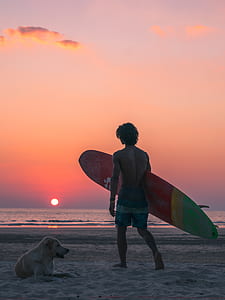 walking man wearing blue and white striped board shorts holding multicolored surfboard near lying adult yellow Labrador retriever on seashore across calm body of water during sunset thumbnail