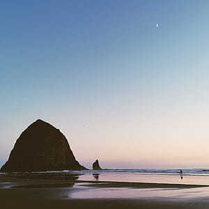 person walking on the beach thumbnail
