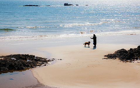 person and dog playing on beach thumbnail