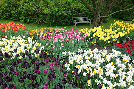 assorted flowers on garden thumbnail