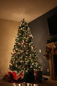green Christmas tree lighted near wall thumbnail