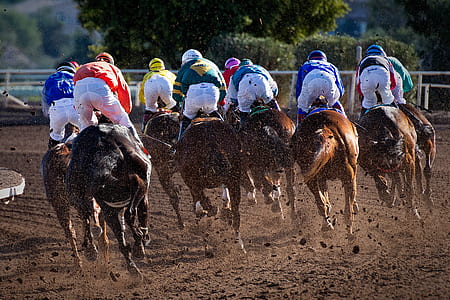 people riding on horses on race track at daytime thumbnail