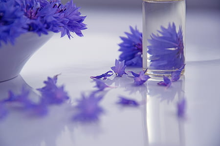 lavender flowers on white bowl thumbnail