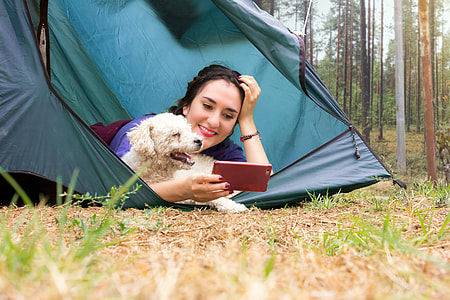 girl with purple shirt using smartphone beside white poodle inside blue camping tent close-u photo thumbnail