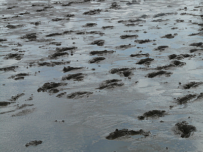 mud with foot steps thumbnail